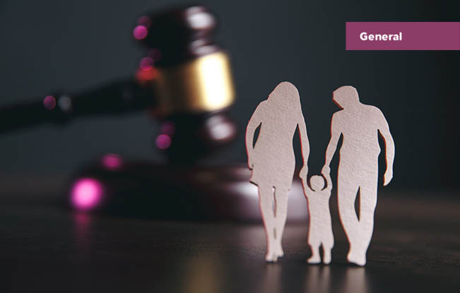 Law Update