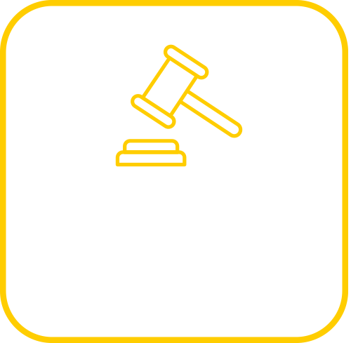 Experienced in common and civil law jurisdictions